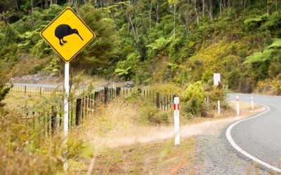 Kiwi road sign in New Zealand