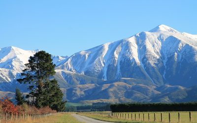 nz-countryside